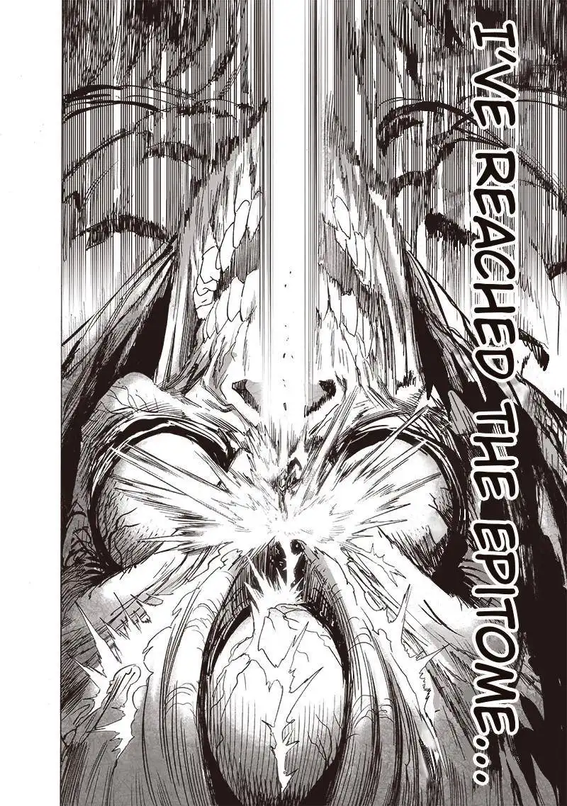 One-Punch Man Chapter 159 17